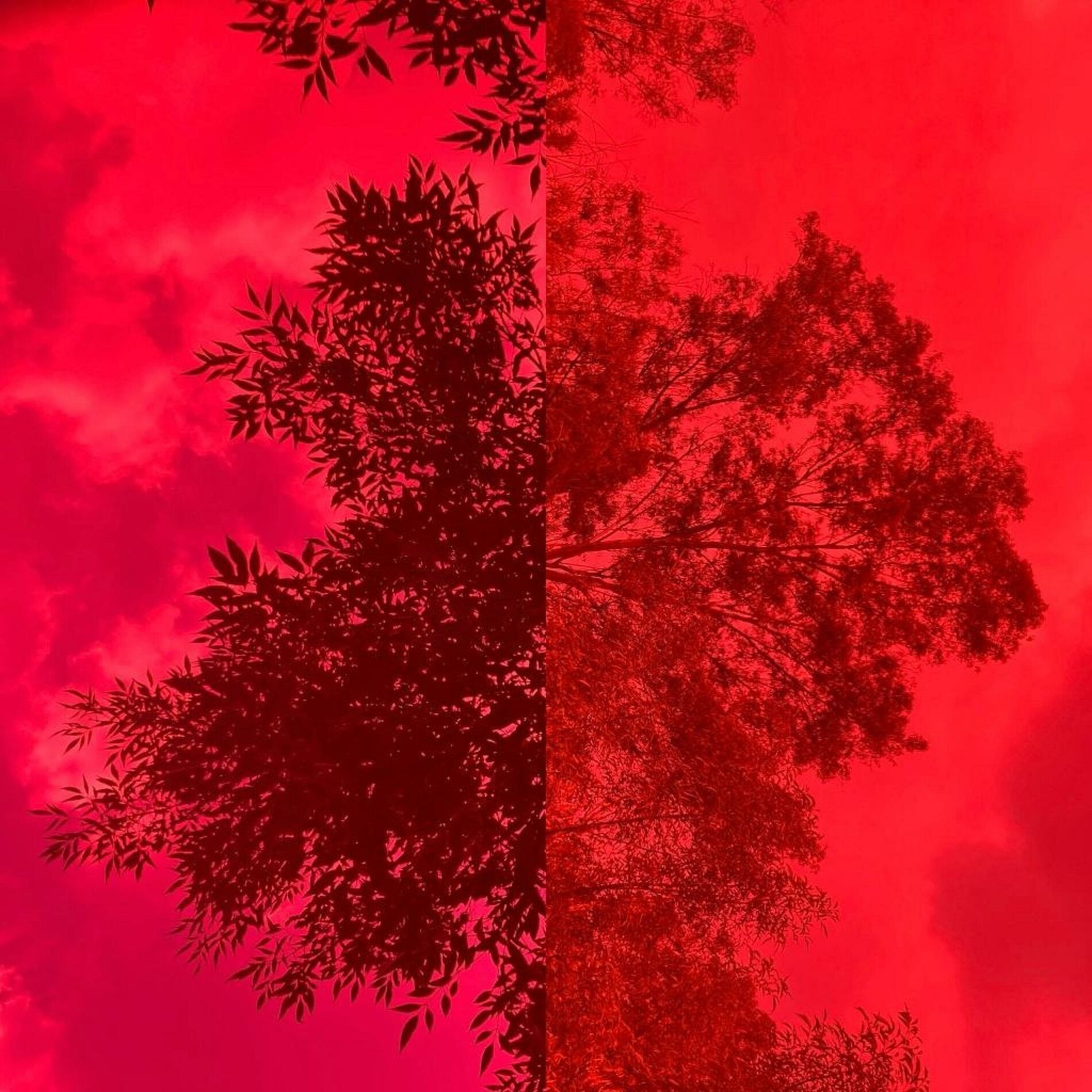 Album cover of Lentes color rosa