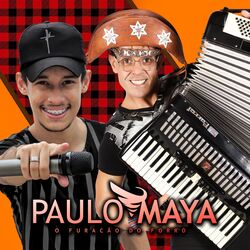 Cover of Foi a Loira