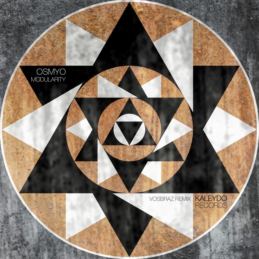 Picture of Modularity (Vosbraz Remix)