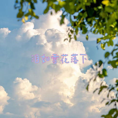 泪如雪花落下