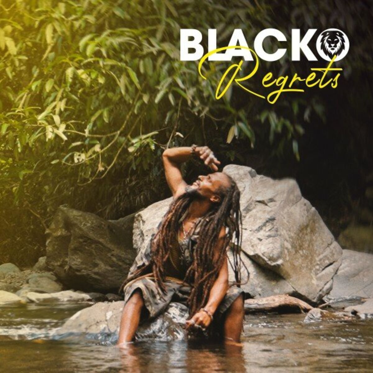 Album cover of Regrets