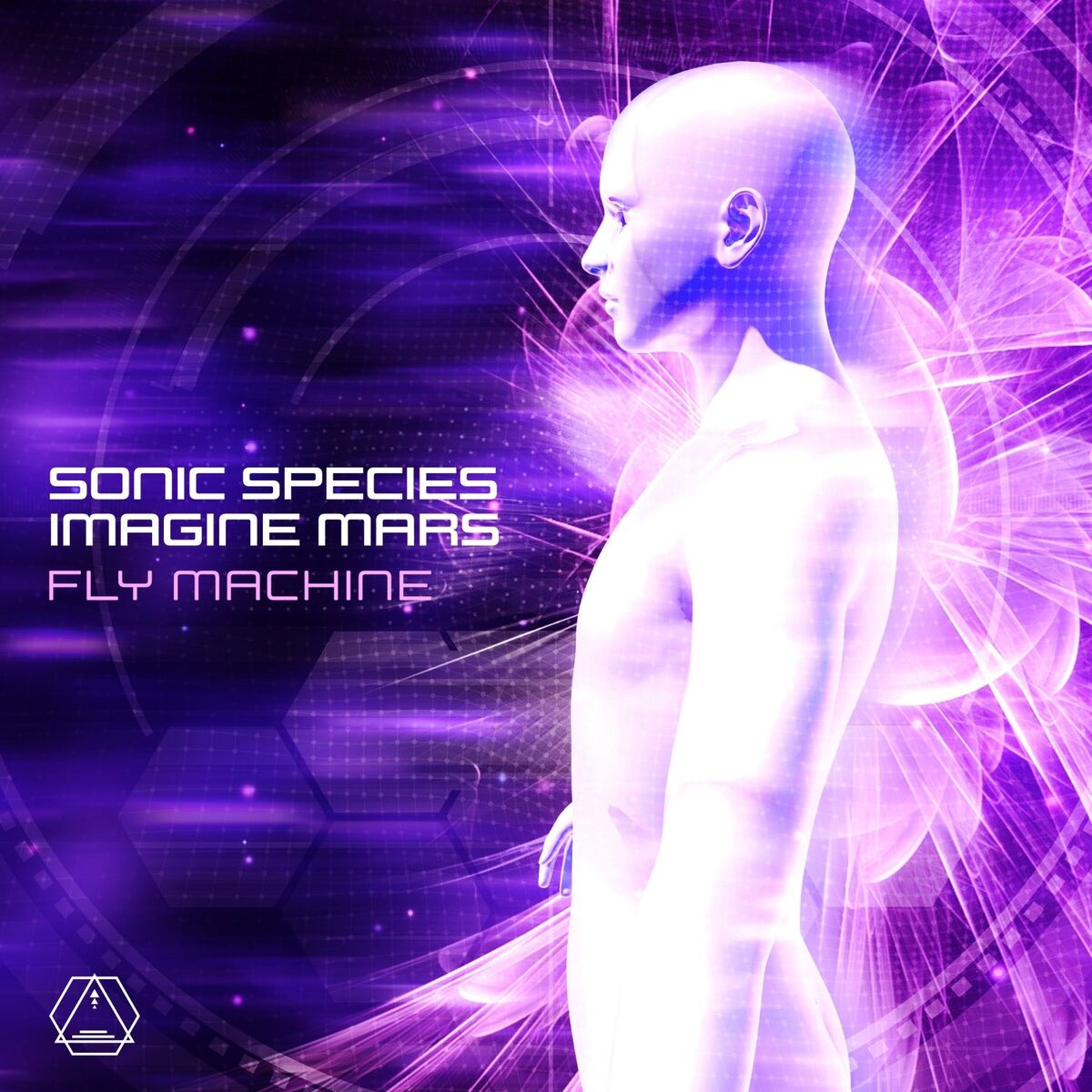 Album cover of Fly Machine