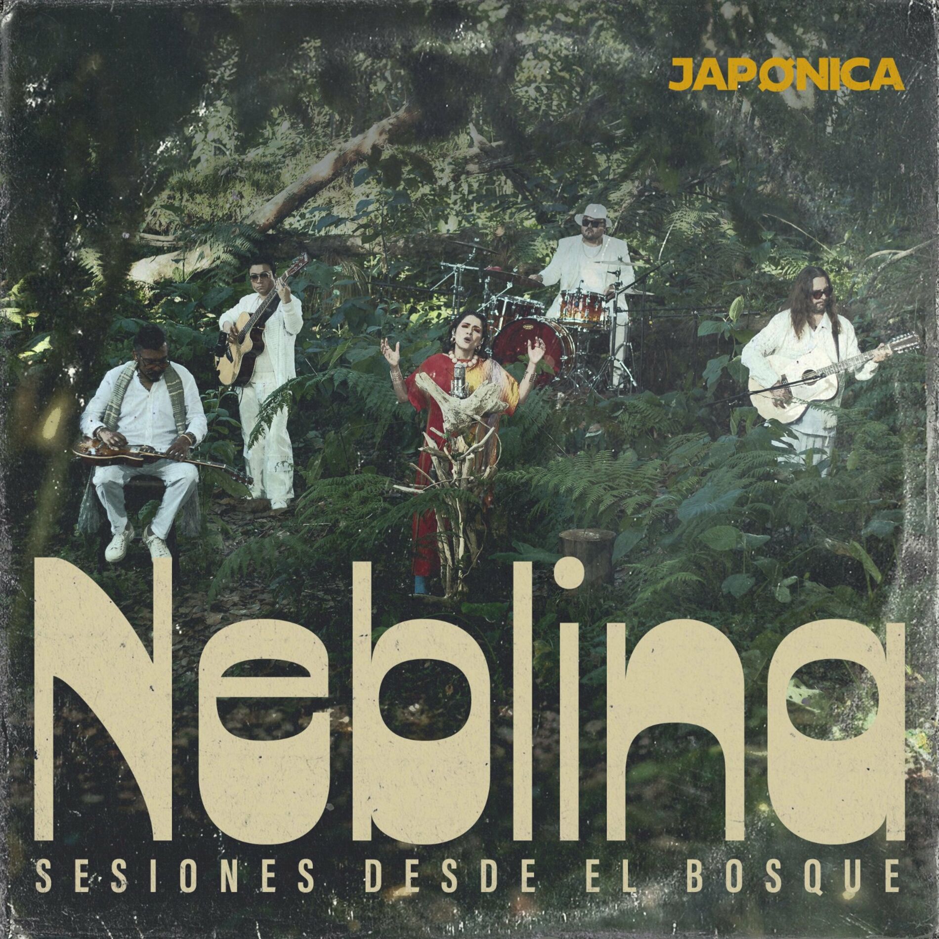 Album cover of Neblina Sesiones desde el Bosque