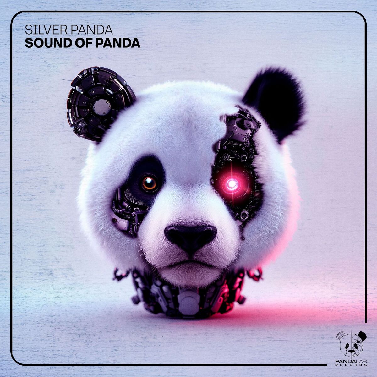 Album cover of Sound of Panda