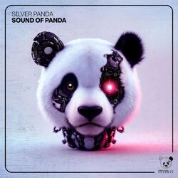 Sound of Panda