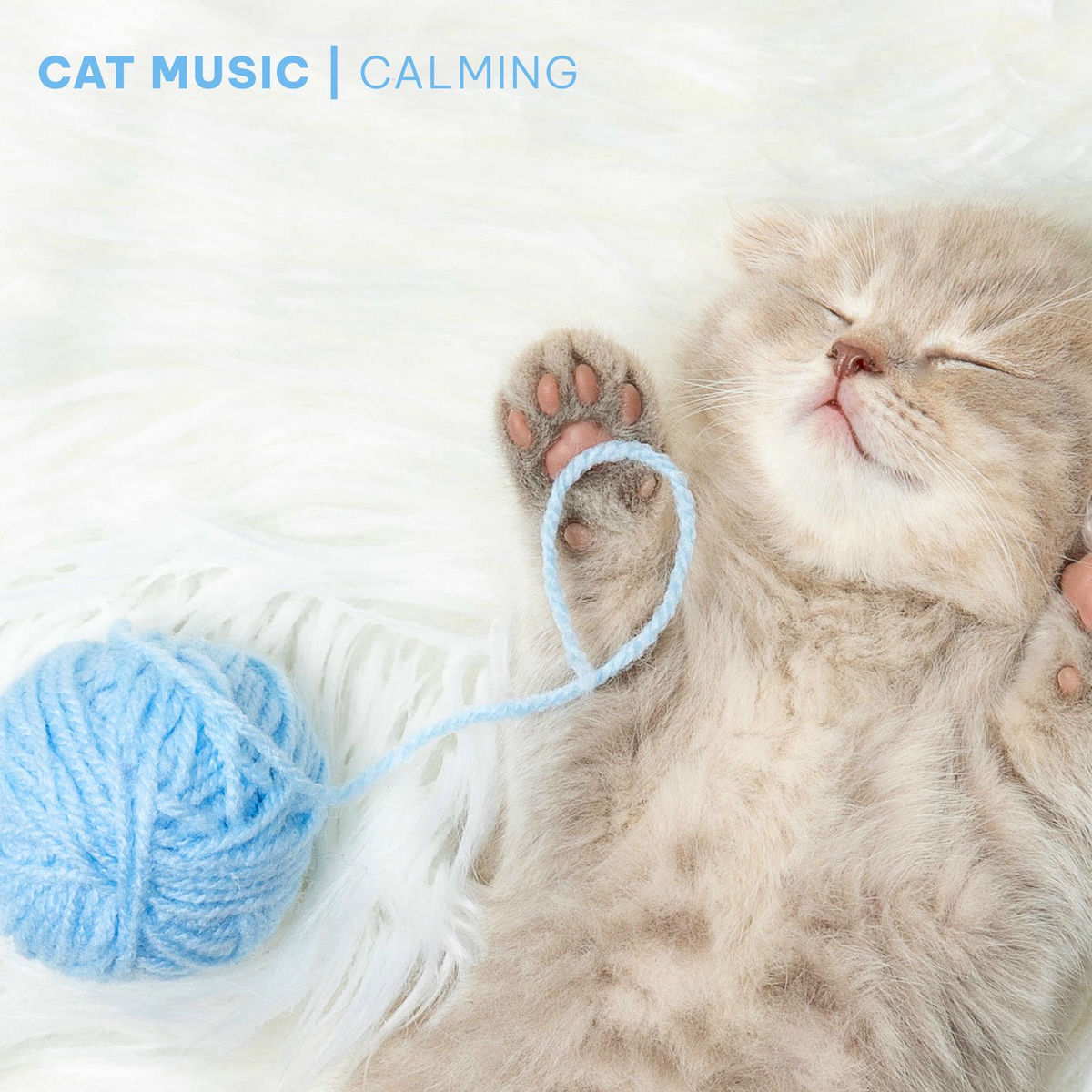 Album cover of Cat Music