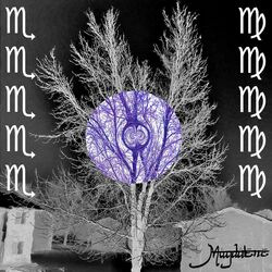 Cover of M