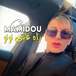 راه غابني نونو