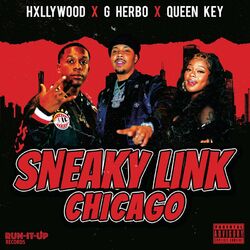 Cover of Sneaky Link Chicago
