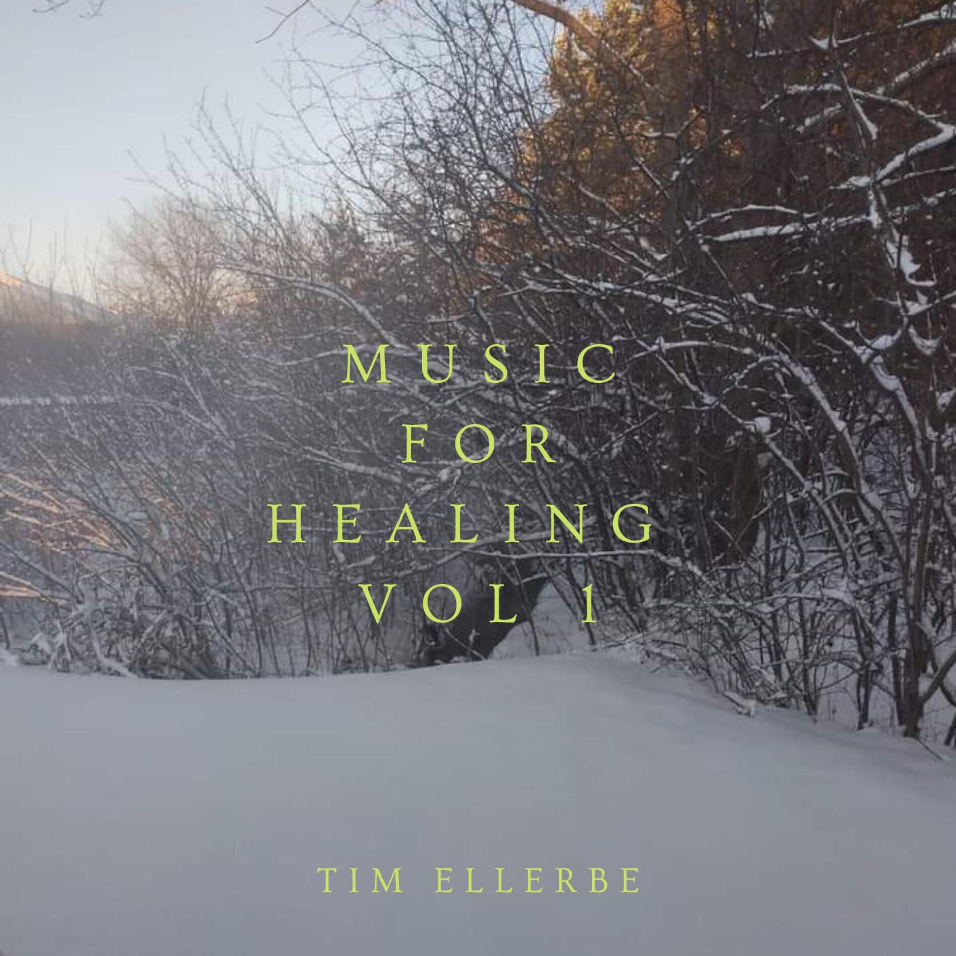 Album cover of Music For Healing, Vol. 1