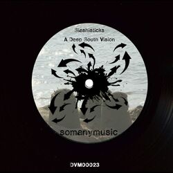 Cover of A Deep South Vision