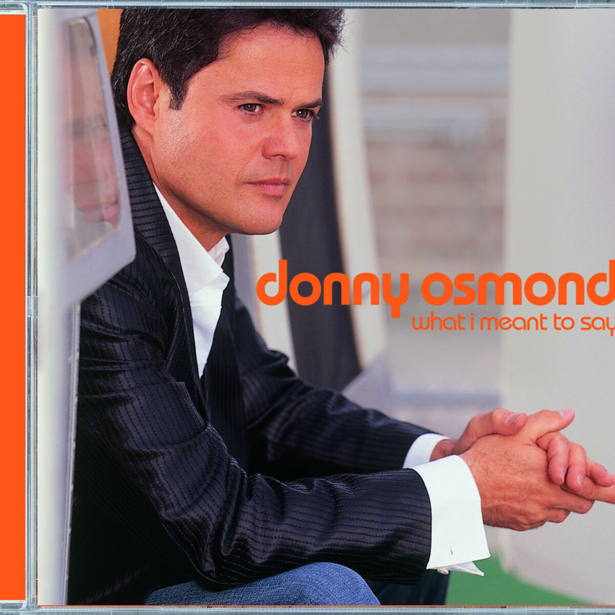 Album cover of What I Meant To Say