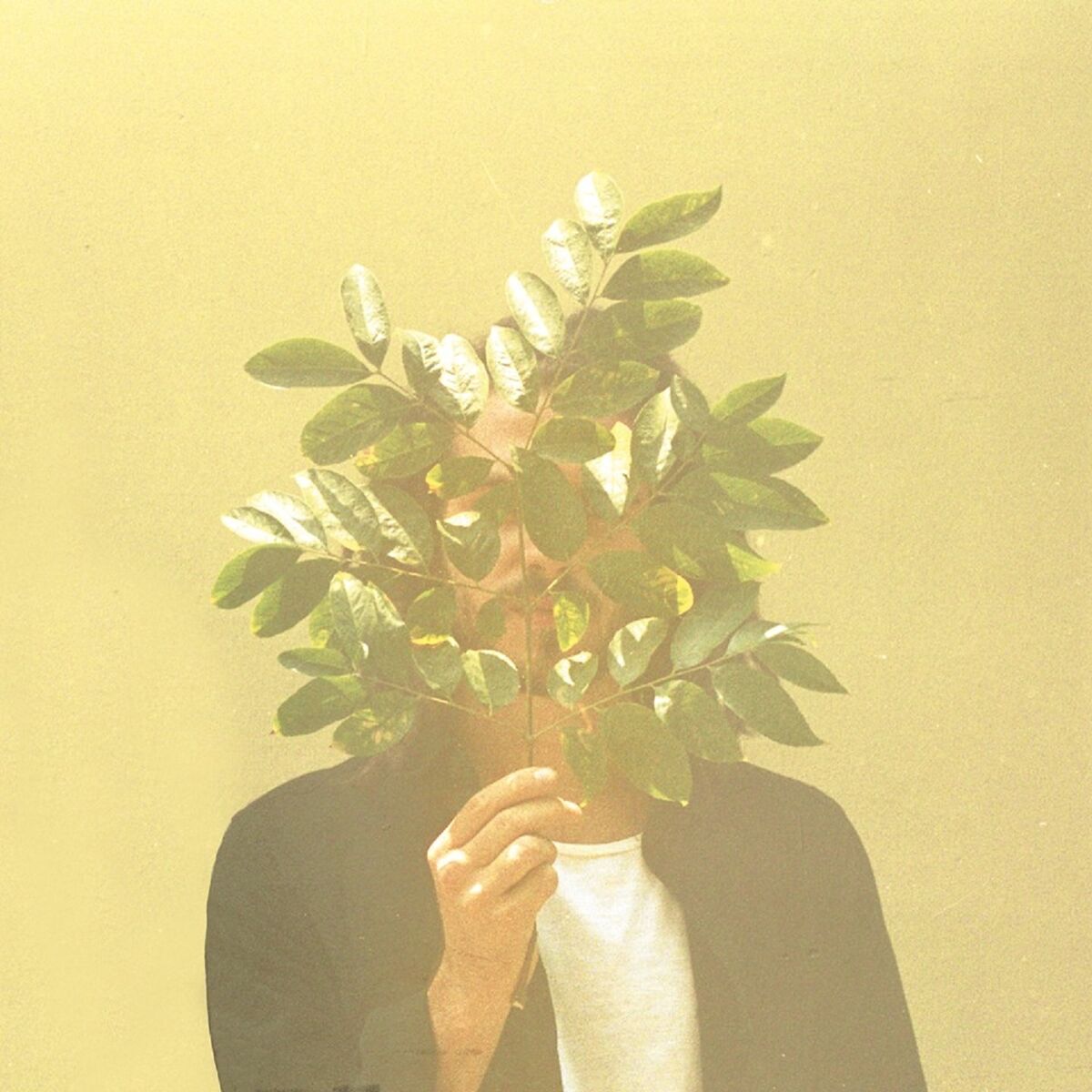 Album cover of Skyline