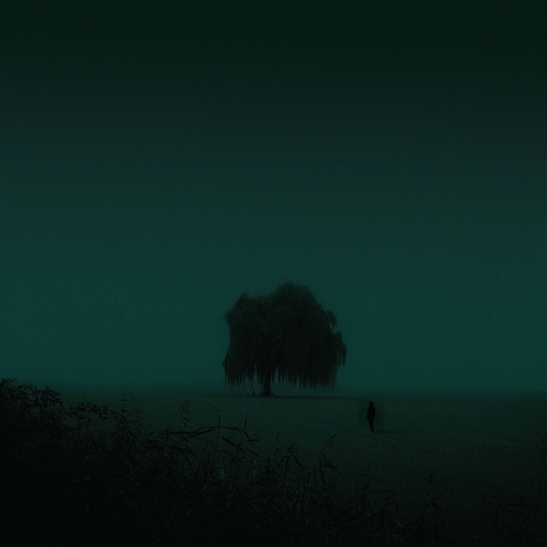 Album cover of i hope this calms you down