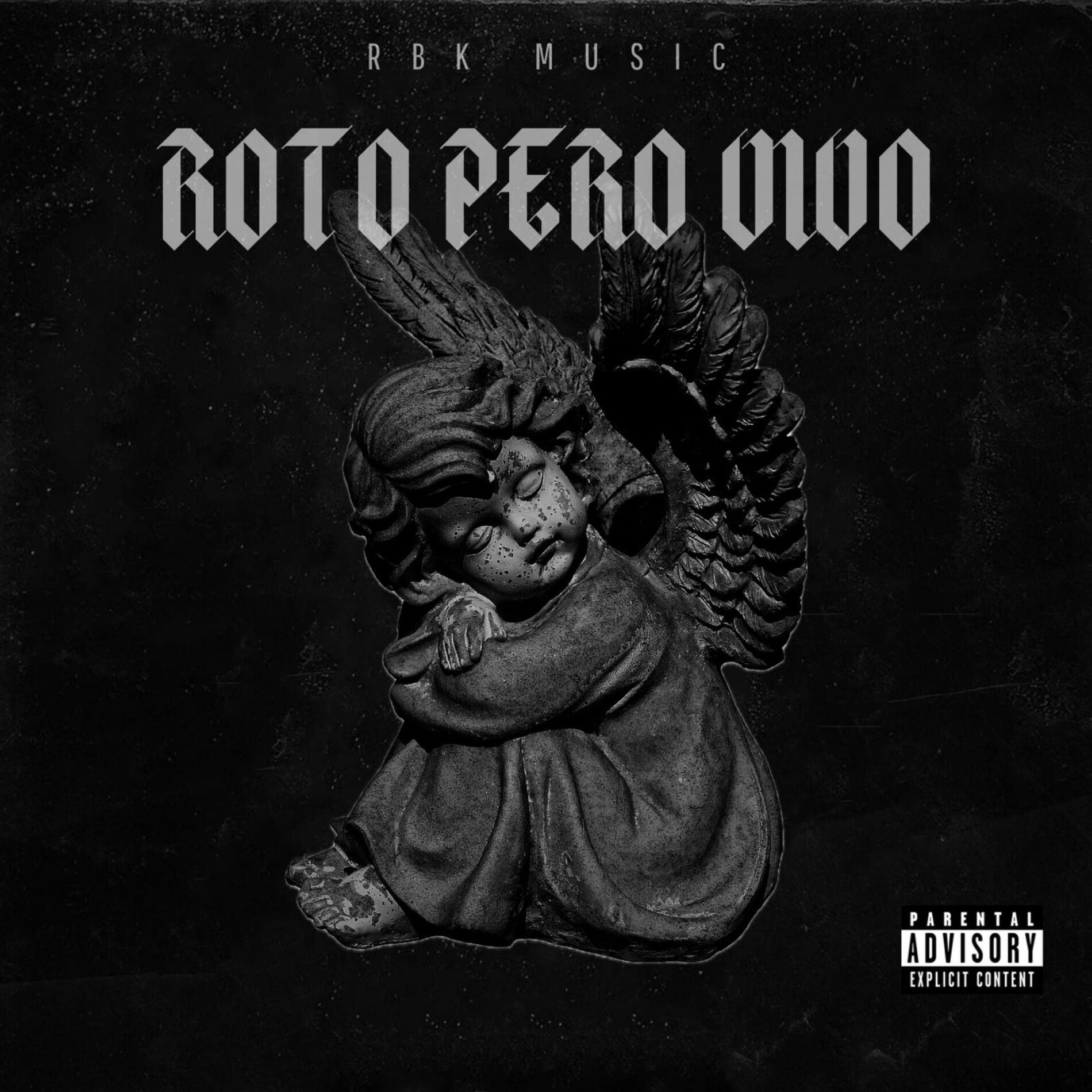 Album cover of Roto Pero Vivo