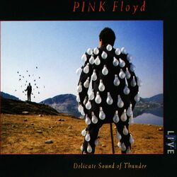 Cover of Delicate Sound of Thunder (Live)