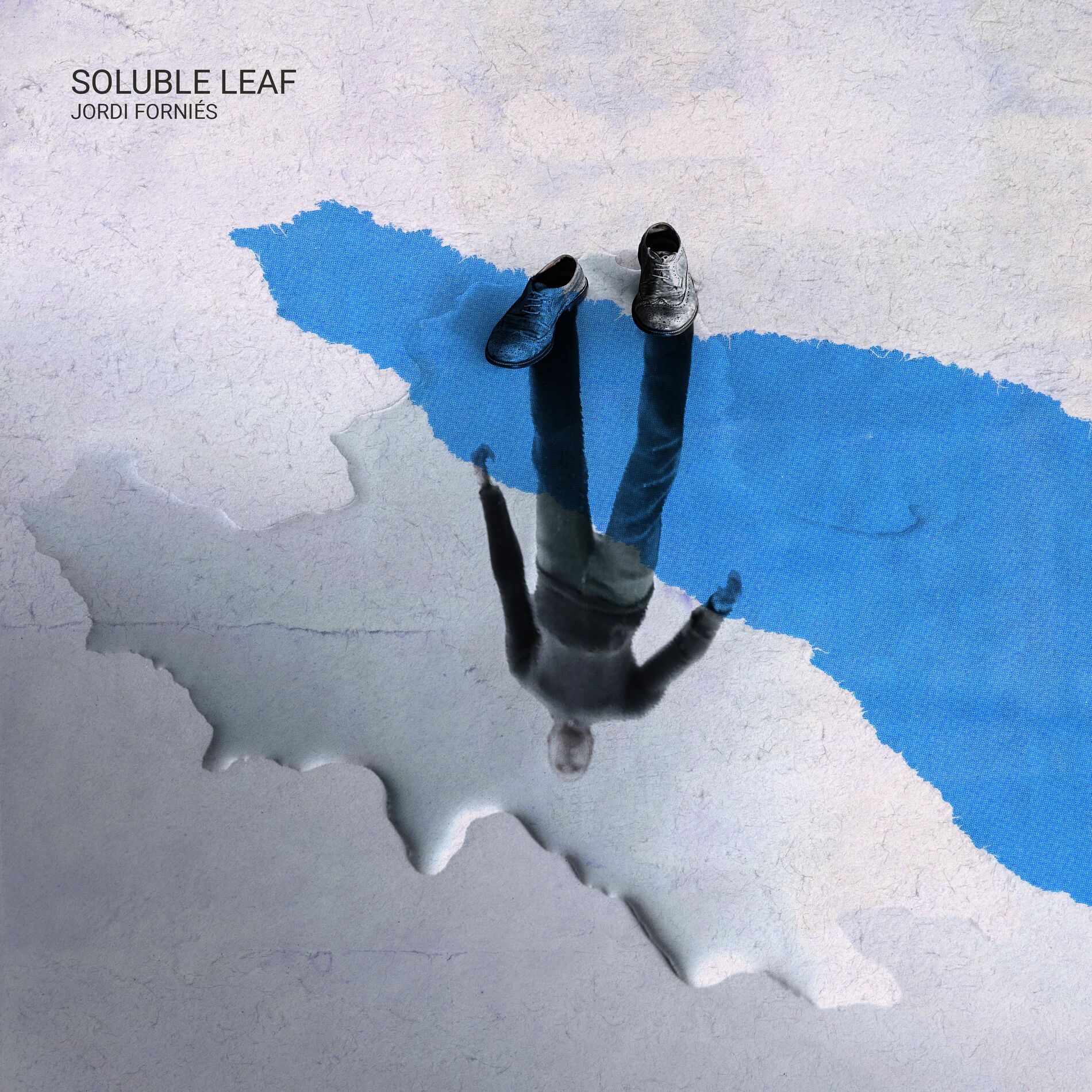 Album cover of Soluble Leaf