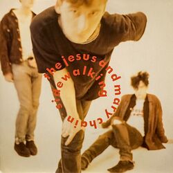 Cover of Sidewalking