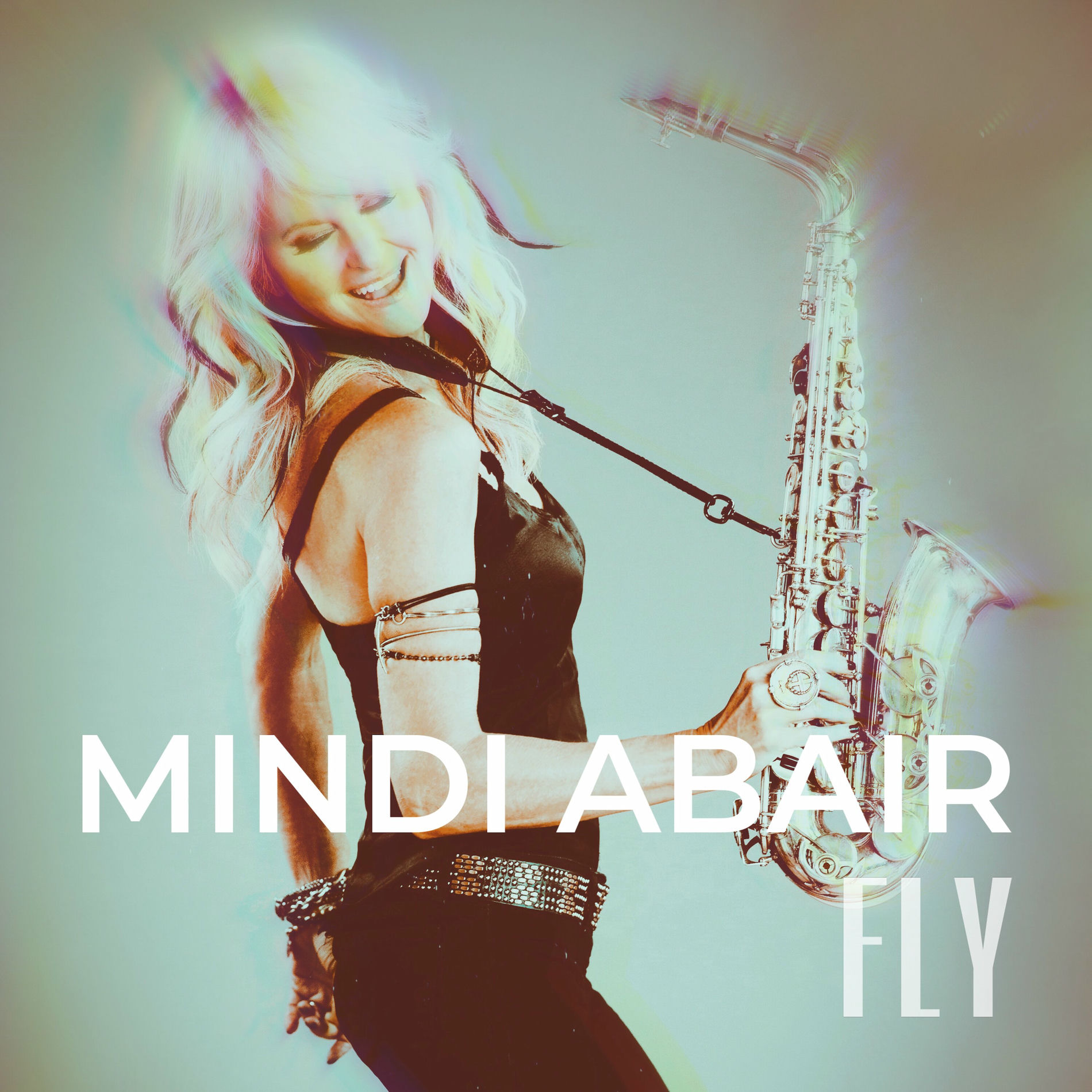 Album cover of Fly