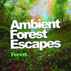 Cover of Ambient Forest Escapes