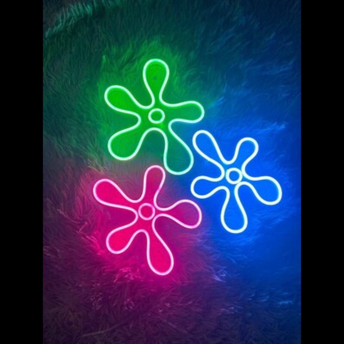 Album cover of Flowers