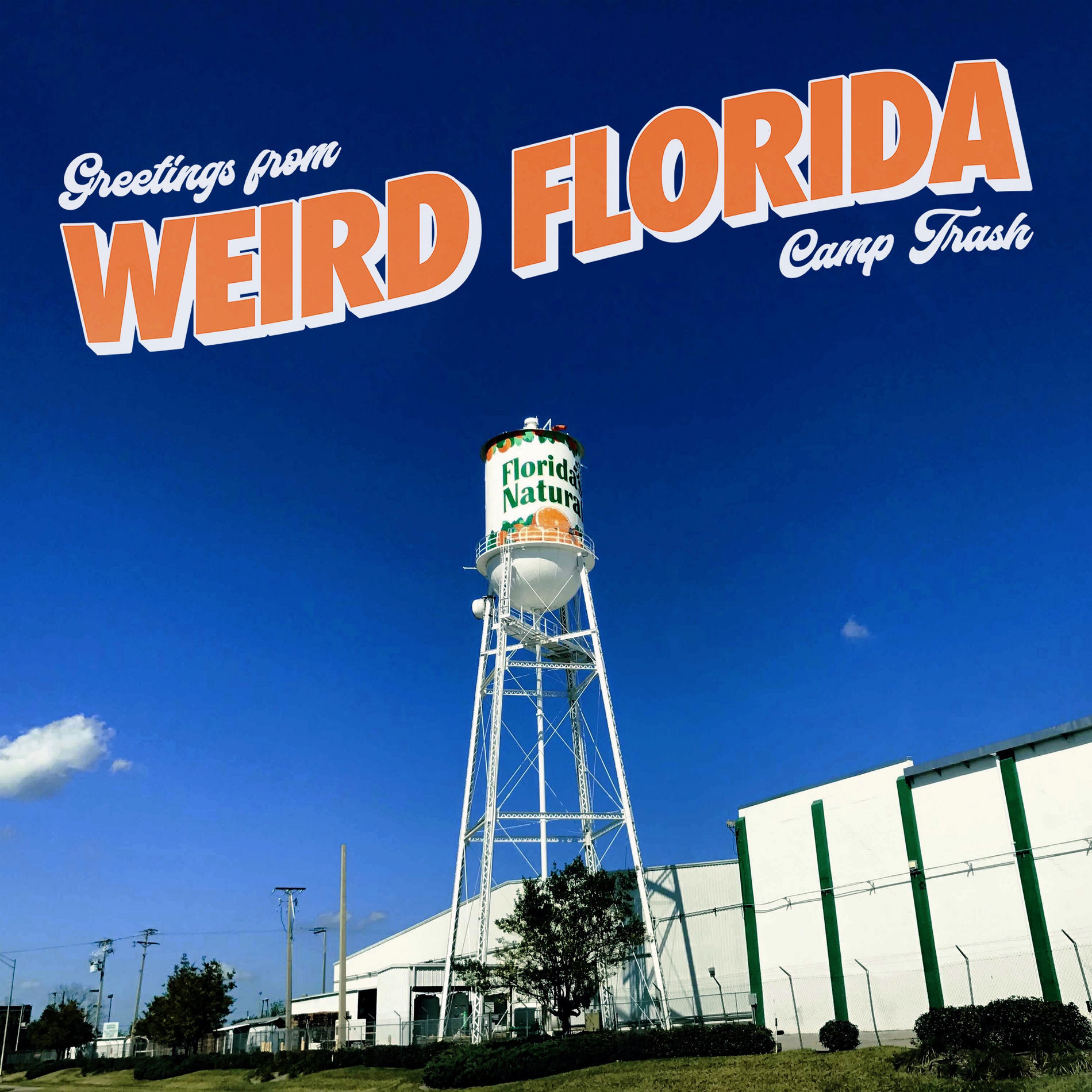 Album cover of Weird Florida