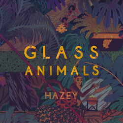 Cover of Hazey