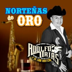 Cover of Norteñas de Oro (Norteño)