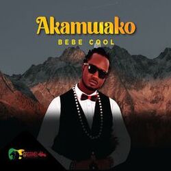 Cover of Akamwako