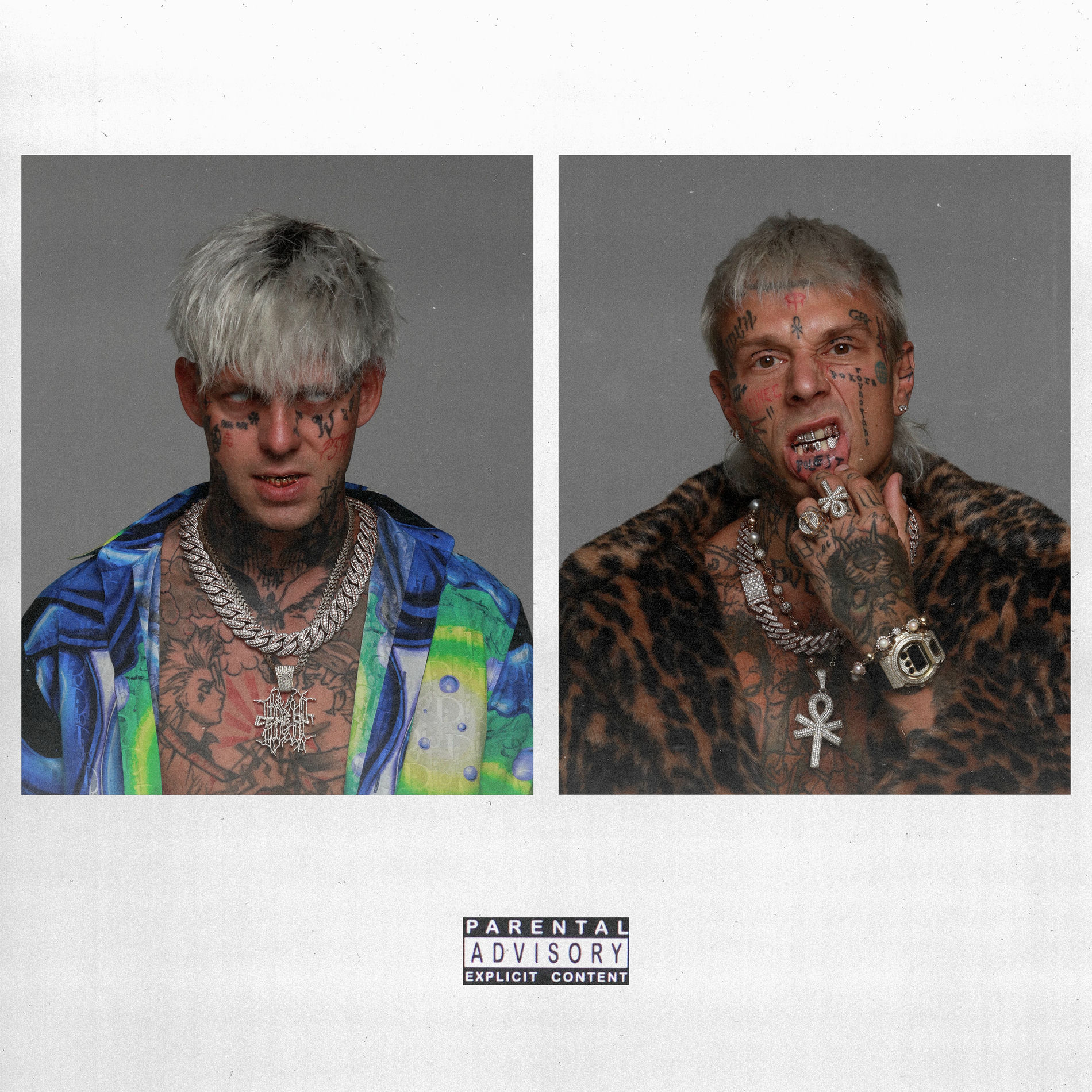 Album cover of Painkillers (overdose edition)