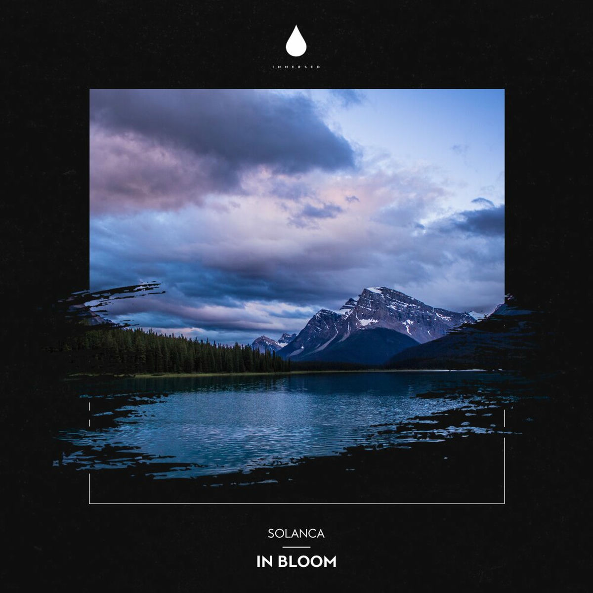Album cover of In Bloom