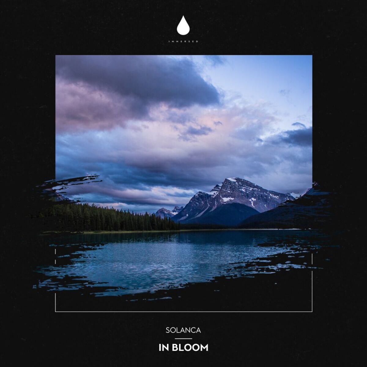 Album cover of In Bloom