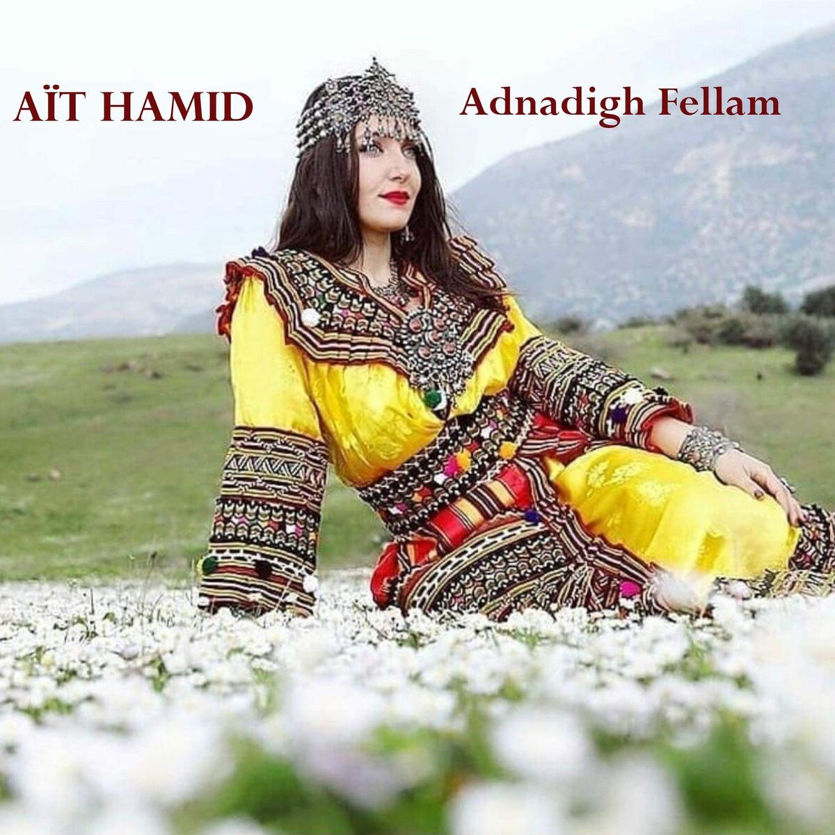 Album cover of Adnadigh Fellam