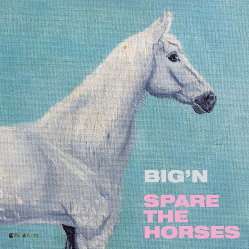 Picture of Spare the Horses