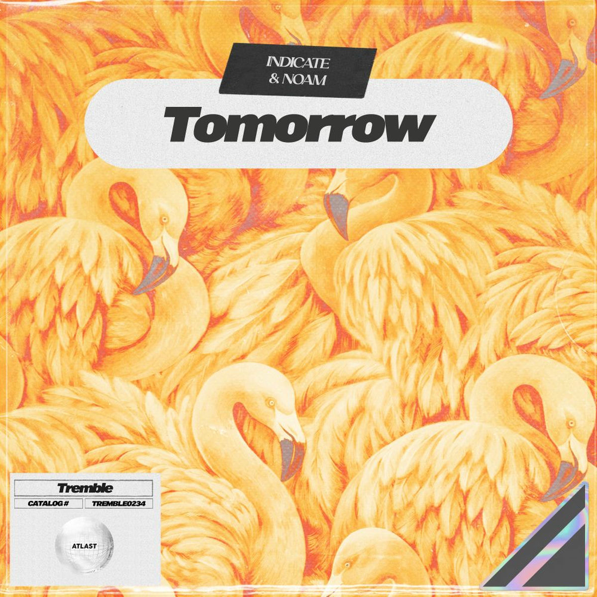 Album cover of Tomorrow