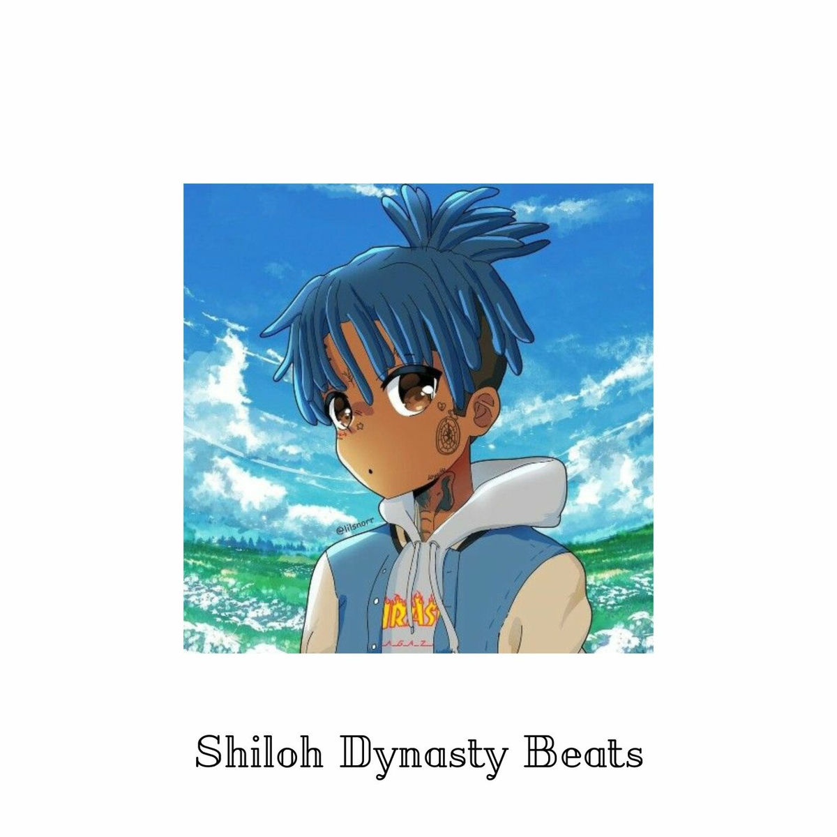 Album cover of Shiloh Dynasty beats