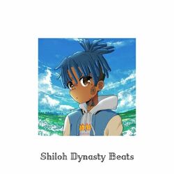 Cover of Shiloh Dynasty beats
