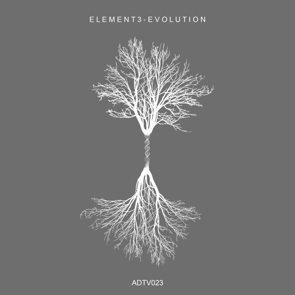 Picture of Evolution