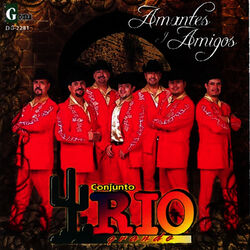 Cover of Amantes y Amigos