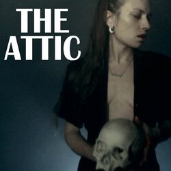 Cover of The Attic