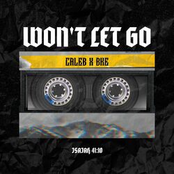 Cover of Won't Let Go