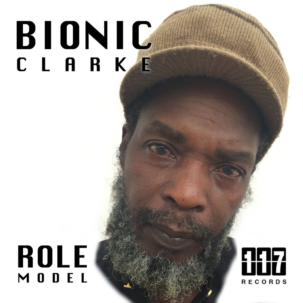 Picture of Role Model