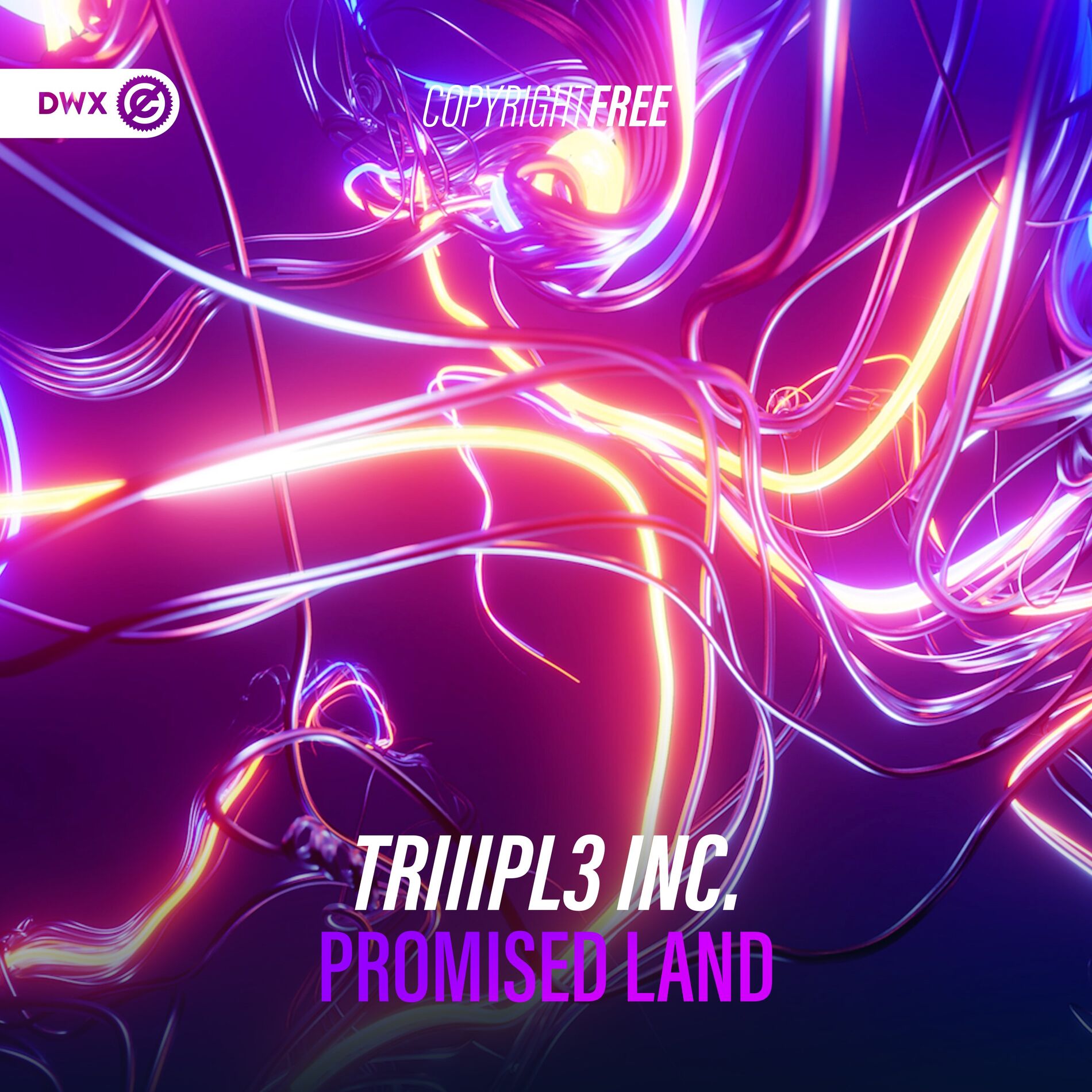 Album cover of Promised Land