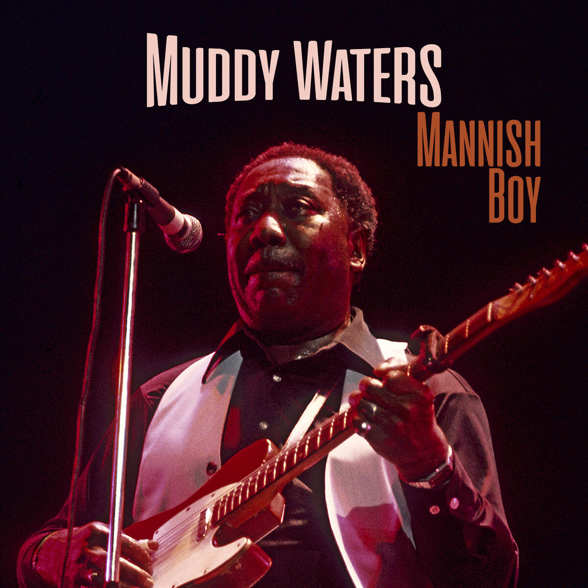 Album cover of Mannish Boy