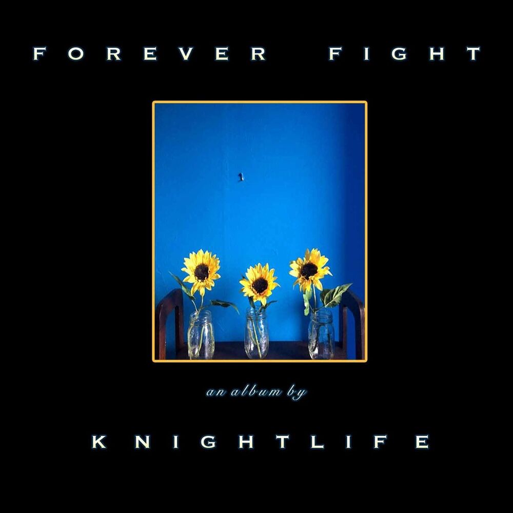 Picture of Forever Fight