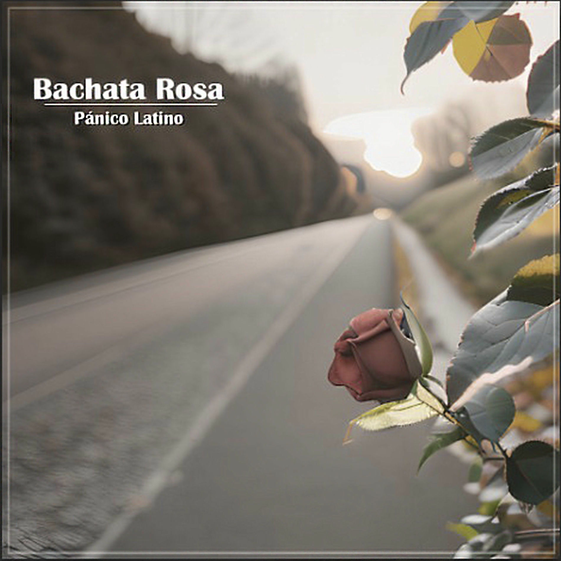 Album cover of Bachata Rosa