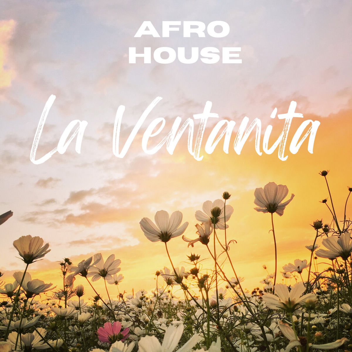 Album cover of La Ventanita