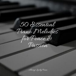 Cover of Soft Sounds for the Soul