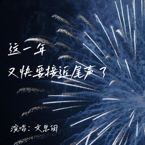 这一年又快要接近尾声了