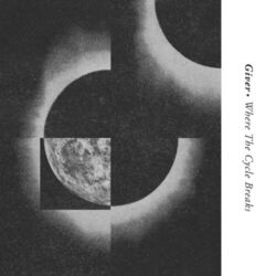 Cover of Shock of the Fall
